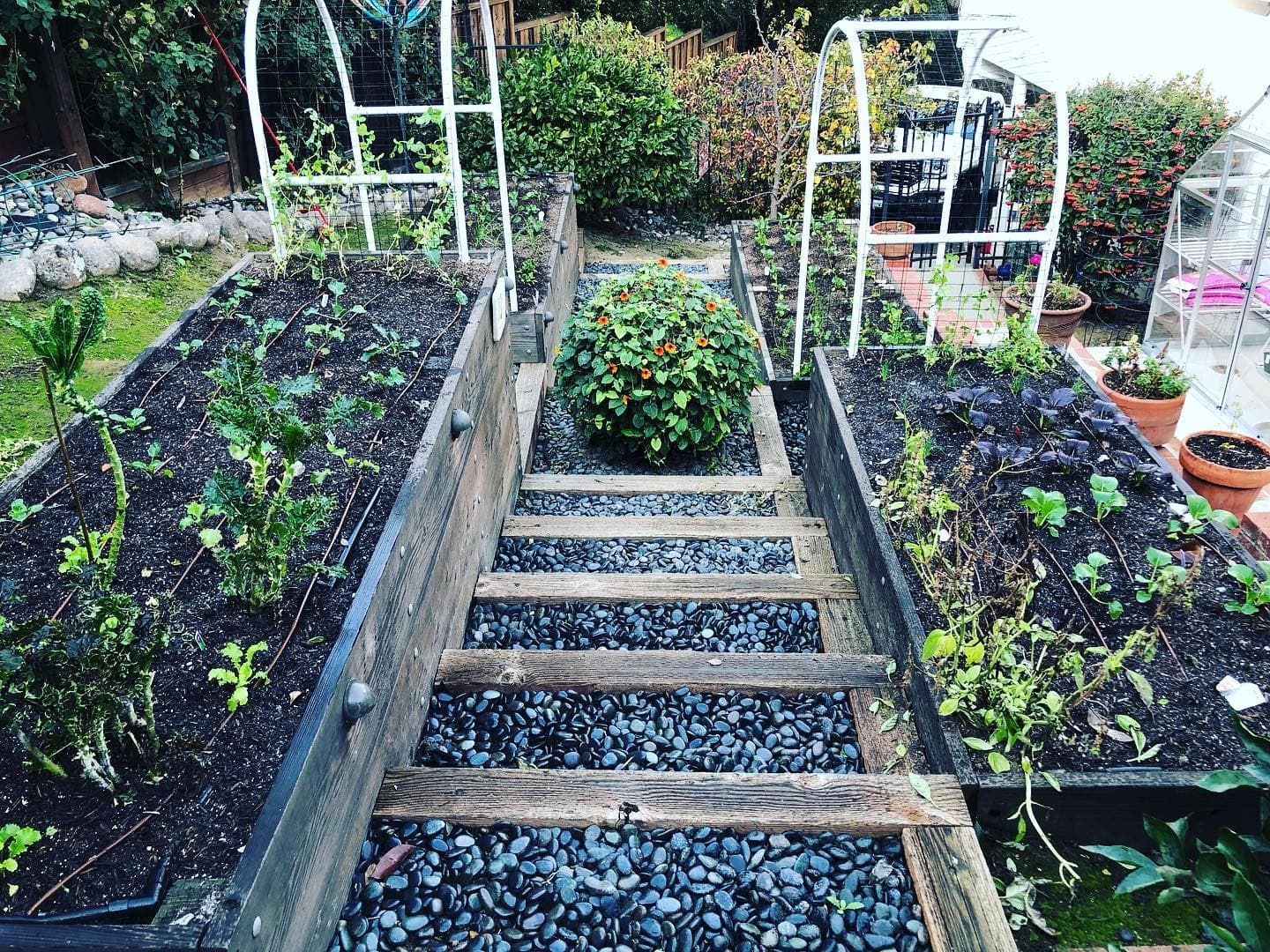 Professional garden installation by Yarden